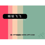 《蜻蜓飞飞》PPT教学课件