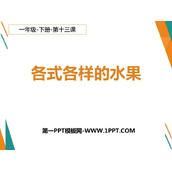 《各式各样的水果》PPT教学课件