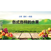 《各式各样的水果》PPT课件