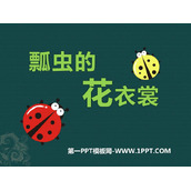 《瓢虫的花衣裳》PPT免费课件
