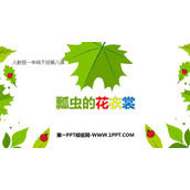 《瓢虫的花衣裳》PPT课件下载