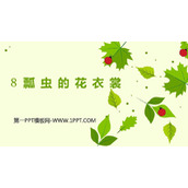 《瓢虫的花衣裳》PPT教学课件