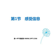 《感受信息》走进信息时代PPT教学课件
