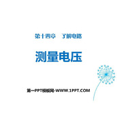 《测量电压》了解电路PPT免费课件