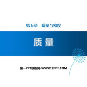 《质量》质量与密度PPT免费课件