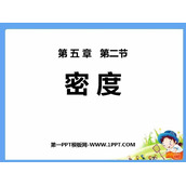 《密度》质量和密度PPT免费课件