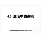《生活中的透镜》透镜及其应用PPT免费下载