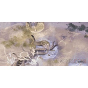 命运方舟日月鹿攻略详解