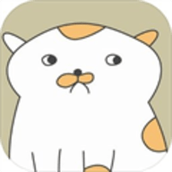 主播和猫的故事下载最新版