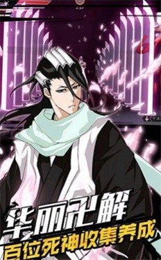 超次元大冒险死神斩月安装包