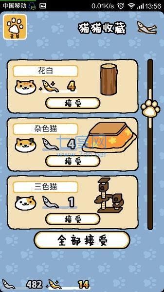 猫咪后院下载最新版