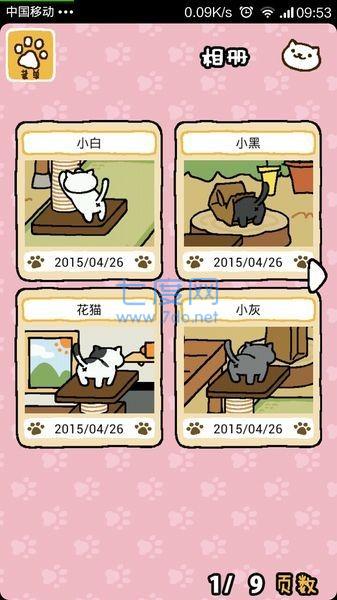 猫咪后院下载最新版