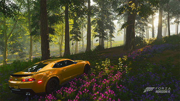 ForzaHorizon4安装包