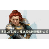 《博德之门3》矮人种族特性指南 矮人种族属性阵营亚种详细介绍