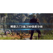 《博德之门3》盾卫BD强度分析   盾卫怎么配合？