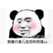 我像只鱼儿在你的鱼塘梗有哪些意思