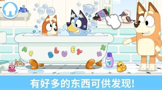 布鲁伊一起玩吧下载最新版