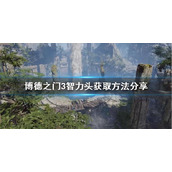 《博德之门3》智力头获取方法介绍 智力头在哪获得？