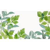 清新绿色叶子植物PPT背景图片