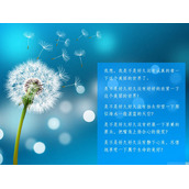唯美蒲公英PPT背景图片下载