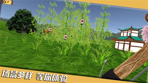 靶心射击游戏安装