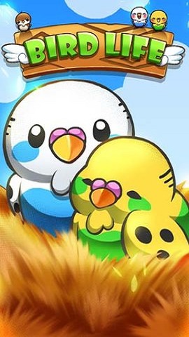 小鸟生活游戏安装