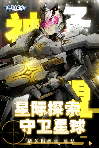 神圣联盟正式版