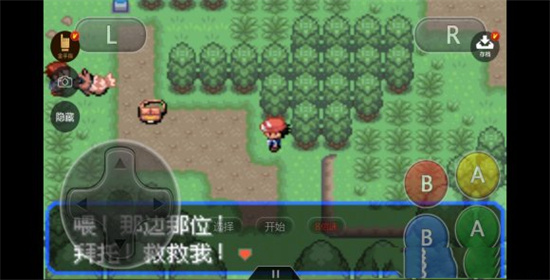 口袋妖怪究极绿宝石安装