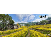 逆水寒手游8.24新增奇遇人间任务介绍