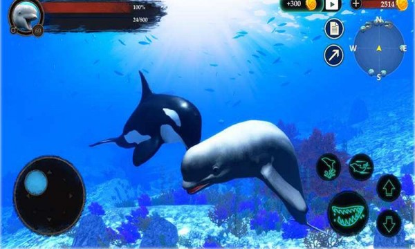 海洋大捕杀免费正版