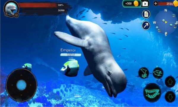 海洋大捕杀免费正版