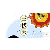 公伏热死牛母伏凉嗖嗖梗有哪些有趣的含义