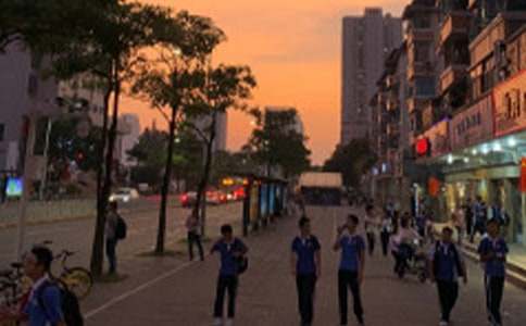 中学生暑假社会实践报告