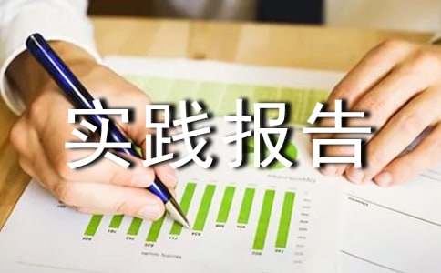 工作实践报告优秀范文
