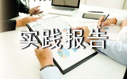 高中生社会实践报告范文