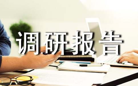 乡镇产业调研报告