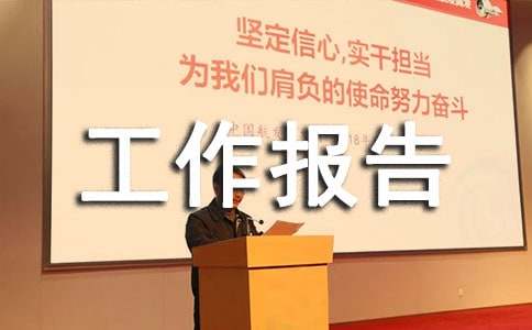 乡镇团代会工作报告