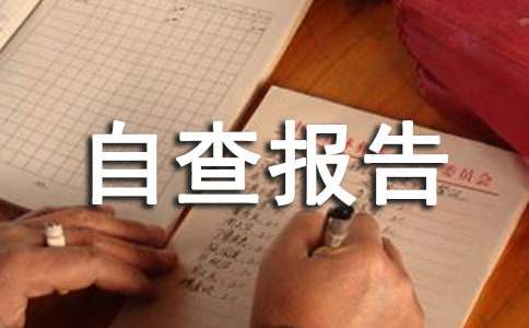 预算执行情况自查报告（通用10篇）
