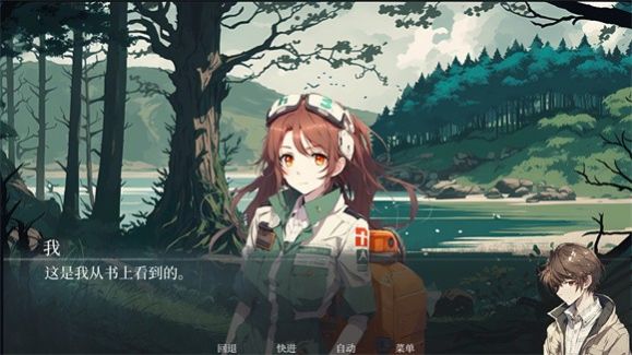 逝去的群星安装