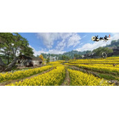 逆水寒手游仙居原壁画残片位置坐标大全