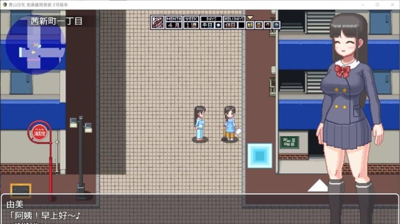 家有贵女白鸟由美游戏安装
