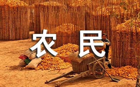 超龄农民工劳务合同范本（精选10篇）