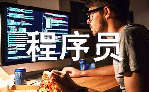 程序员的个人工作总结范文