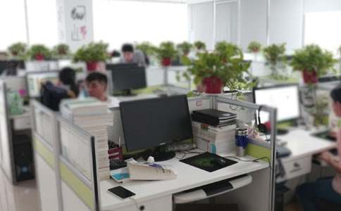 办公室个人年终工作总结范文