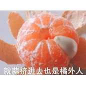 橘外人梗是什么意思详情