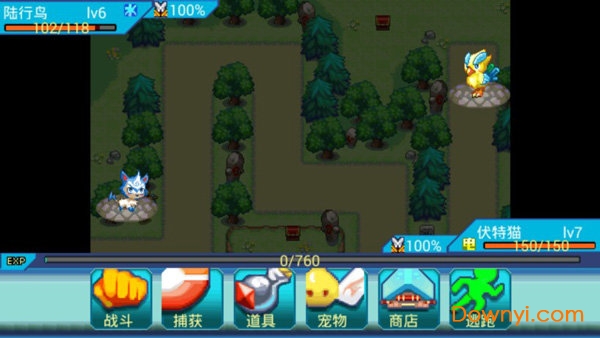 宠物王国手机版