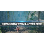 《怪物猎人崛起》曙光环境生物怎么用？密林副营地位置及环境生物使用