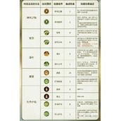 森之国度灵医技能加点攻略分享