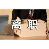 自动离职通知书