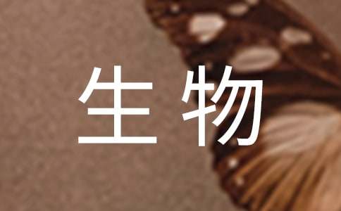 高三生物个人工作总结